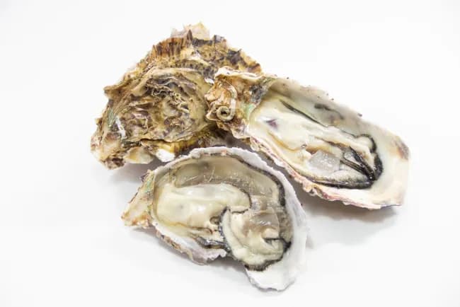 生牡蠣1個100円で一年中食べられることを売りにしていた飲食店、案の定ノロで集団食中毒💩