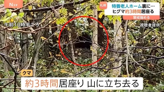 熊がつぎは老人ホームに狙いを定めた模様