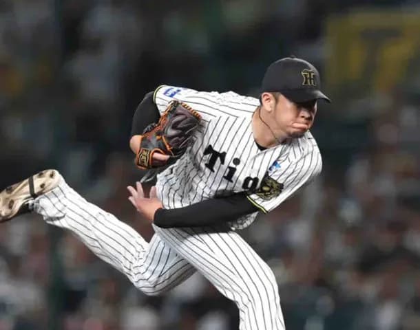 阪神・岩貞が３球三振のスーパーリリーフ　石上を全球スライダーのボール球でバットに空を切らせる