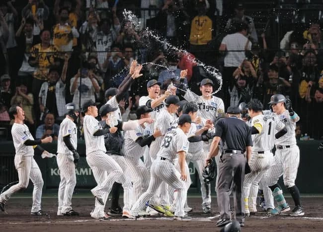 阪神、ガチで強いｗｗｗｗｗｗｗｗｗｗｗ