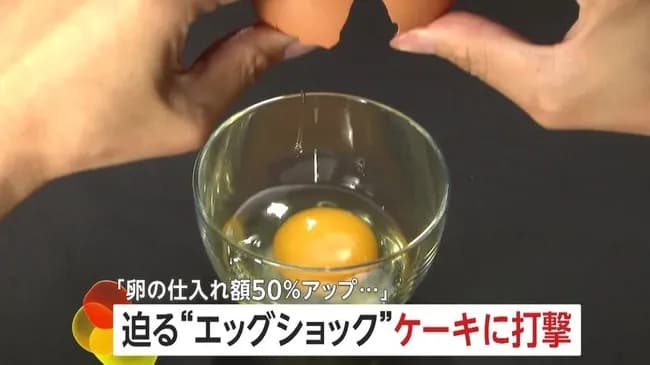 卵の価格が再高騰　迫る「エッグショック」にクリスマスケーキも高騰か