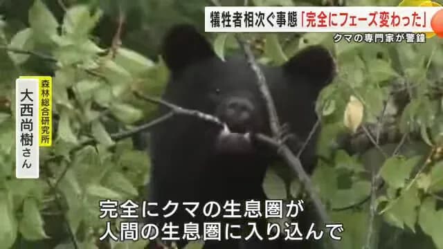 【悲報】クマの専門家が警鐘「完全にフェーズ変わった、食べるために狙うという発想」
