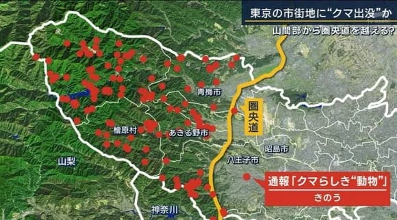 【悲報】クマさん、第一次防衛ライン突破か・・・・・・・