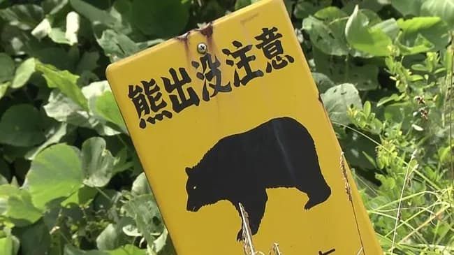 【宮城県】「80センチのクマが50センチの柴犬咥えて森に逃げた」クマも柴犬も行方分から（・(ｪ)