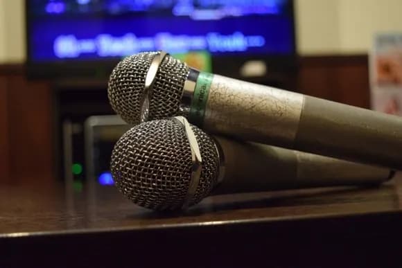 【悲報】最近の新入社員、カラオケで「紅だーーー！！！」が伝わらない・・・・・・