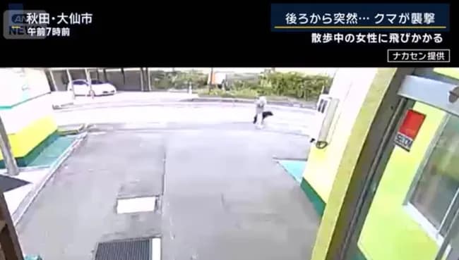 【動画】秋田、もう市街地で散歩すらできなくなるｗｗｗｗｗｗｗｗｗｗｗｗ