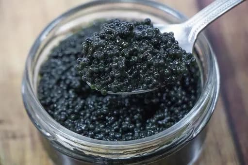 【急募】酒のアテが2種類永久無料になるなら？ｗｗｗｗｗｗｗｗｗｗｗｗｗｗｗｗ