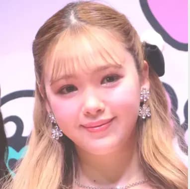 【悲報】藤田ニコル(27)「石破さんが言ってることは難しくてわからない。でも高市さんは私にも理解できる」