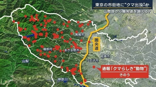 【画像】クマサン、ついに東京都心へ向けて進撃を開始！圏央道の結界を越えるｗｗｗｗ