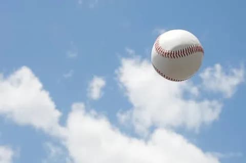 今年のプロ野球なんだったんだよ大賞ｗｗｗｗ