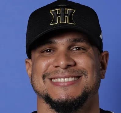 ヘルナンデス(率.229 1本 8打点 OPS.549)←来季どこでどう使うんだよwwwwwwww