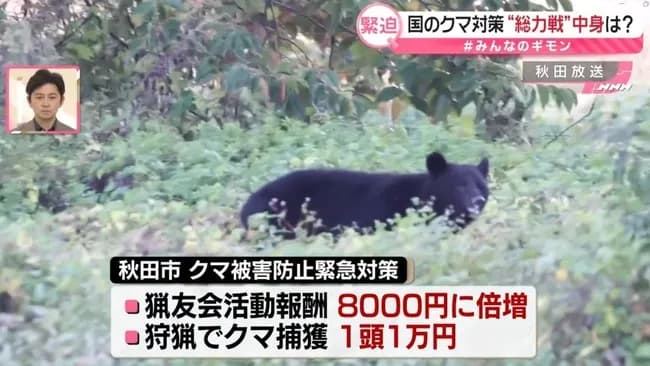 相次ぐクマ被害受け、警察官がライフル銃でクマ駆除検討　来週担当者が現地へ