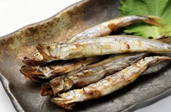 【急募】この世で最も美味しい魚ってなんや？ｗｗｗｗｗｗｗｗ