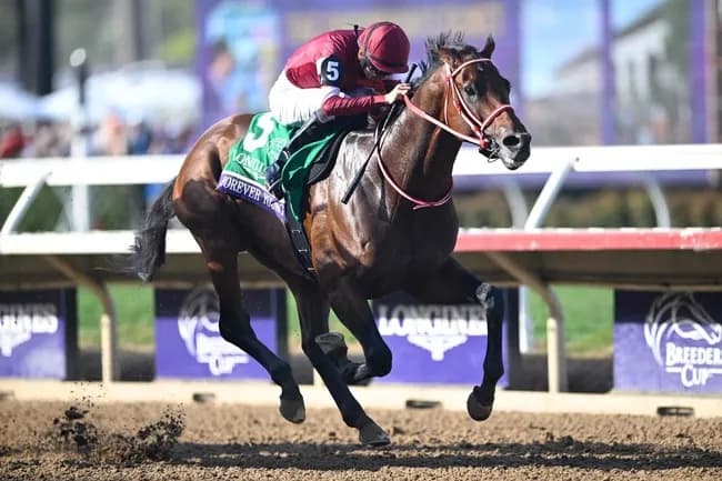 日本競馬の偉業、ドジャースWS優勝にかき消される