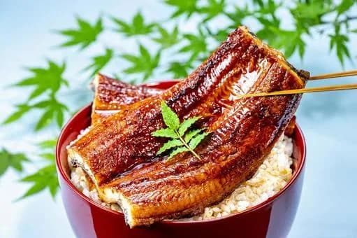 【悲報】食通「ガスで焼いた鰻はまずい、炭火で焼くべき」←これｗｗｗｗｗｗｗｗｗｗｗｗｗｗｗｗ