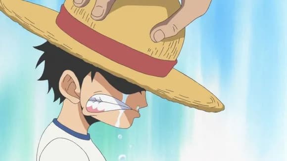 【朗報】　ルフィに学ぶモテ術がコチラｗｗｗｗｗｗｗｗｗｗｗ