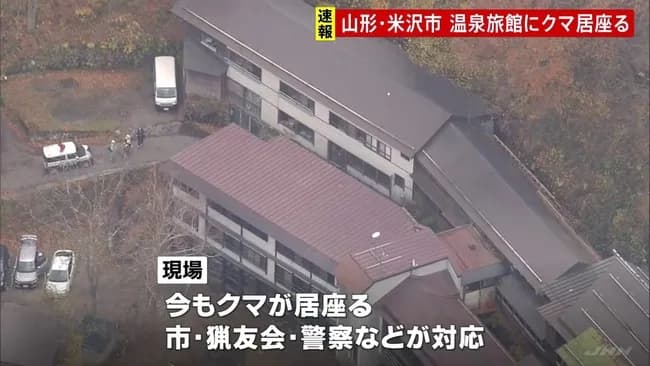 【🧸】山形県米沢市　温泉旅館にクマ居座る