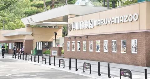 【札幌】円山動物園 ヒグマらしき足跡