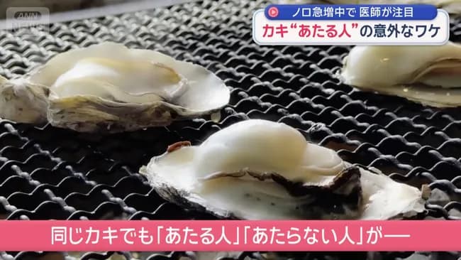 医師「牡蠣に“あたる人”と“あたらない人”の違いを解説します」
