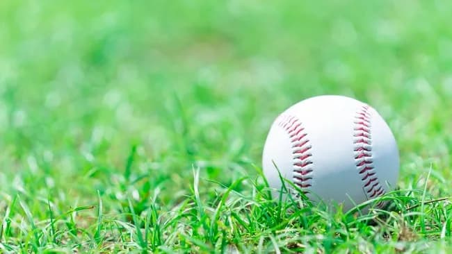 【悲報】NPBさん、ガチのマジで完全にMLBの下部組織になってしまうｗｗｗｗｗｗｗｗｗｗｗ