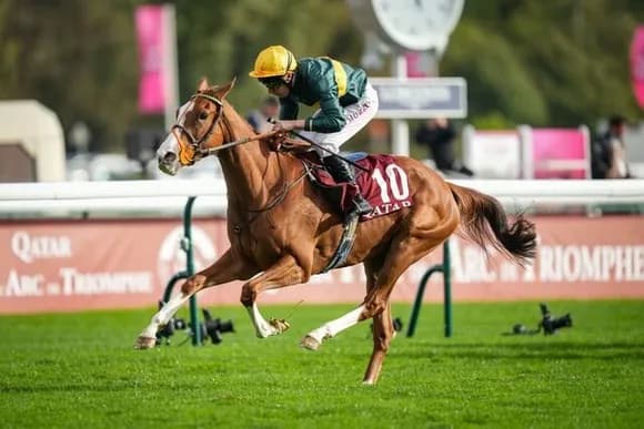 【悲報】凱旋門賞さん、難攻不落ｗｗｗｗｗｗｗｗｗｗｗｗｗｗｗｗ