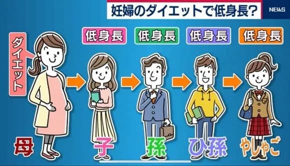 【悲報】妊婦「痩せなきゃ（使命感）」→子孫が低身長にｗｗｗｗｗｗｗｗ
