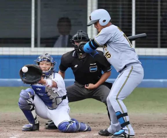 阪神　西純が野手として実戦初打席　粘るも７球目に見逃し三振に倒れる　代打のコールに場内大歓声