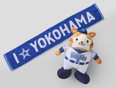 DeNAの今年退団するかもしれない選手wwwwwwwwwwwwwwwwww