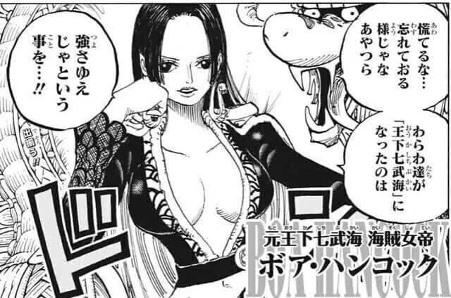 女帝ボア・ハンコック（31）さん「王下七武海になったのは強さゆえ」←これ