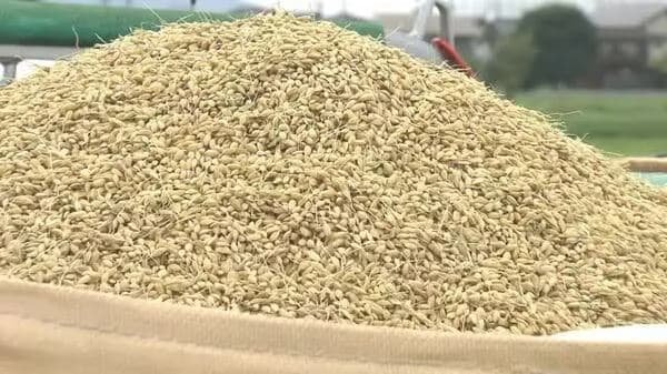 JA「新米の価格めっちゃ上げたろ！😆」→新米の販売量が去年の半分へ