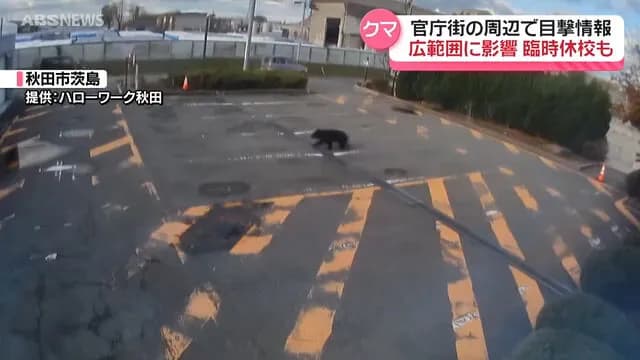 【秋田】クマさん🐻、ハローワークを訪れる