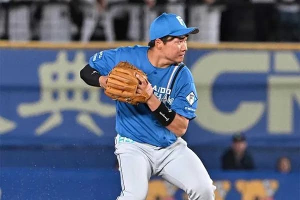 広島矢野西武滝澤日ハム山縣でも獲れないゴールデングラブ賞
