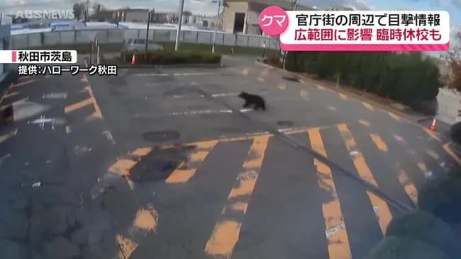 【秋田】クマさん🐻、ハローワークを訪れる