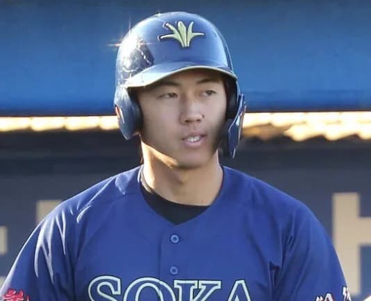 来年の阪神の『立石デバニー』の二遊間、強すぎる