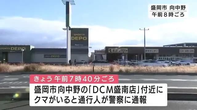 【岩手】ホームセンターに🐻が現れた！　何を使って駆除する？