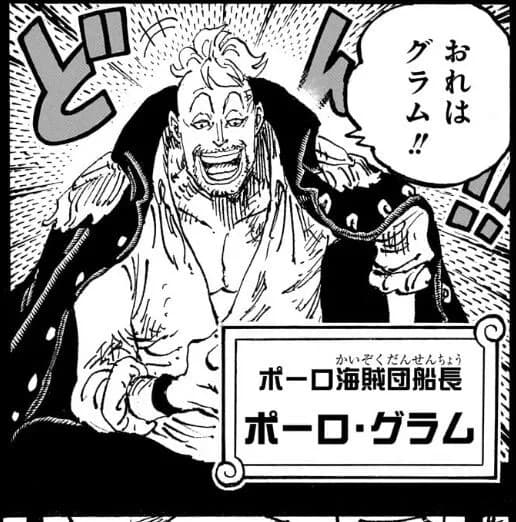 【悲報】ワンピース、キャラの描き分けが大分怪しくなる