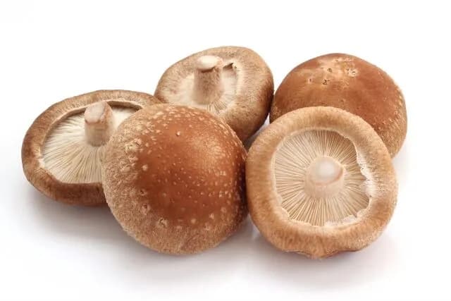 しいたけ(匂い❌味❌食感❌)←これ