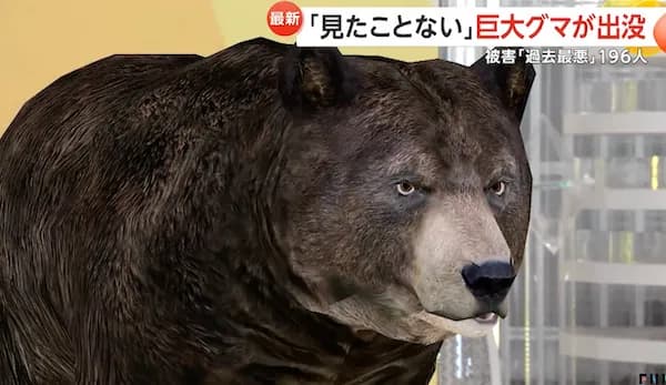 【爆報】400kgを超える巨大ヒグマが北海道に出現