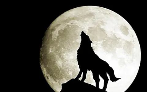 人狼ゲームでガチって空気悪くするやつｗｗｗ