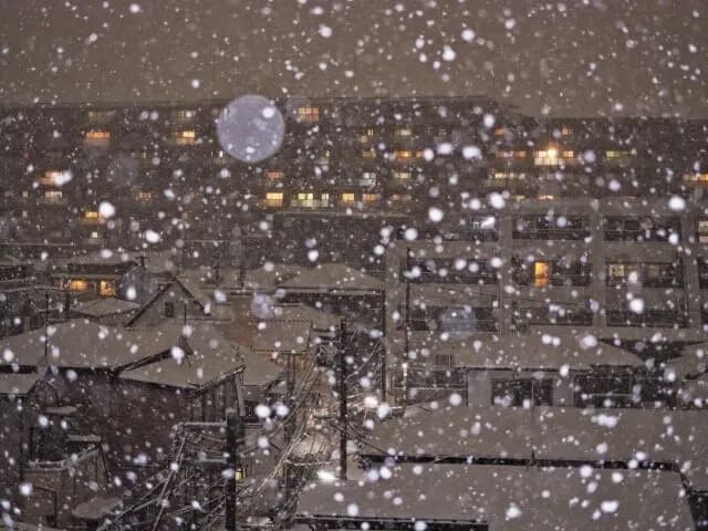 これから半年間寒い冬が始まるという事実