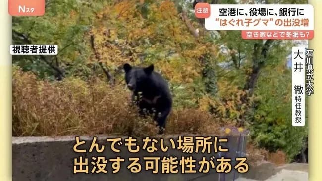 【正論】元東出昌大「クマ報道がすごいな、クマそんなに危なくないって」