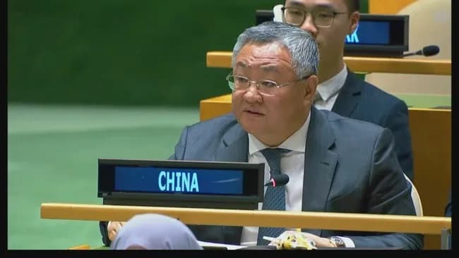 【悲報】中国、日本の常任理事国入りを拒否ｗｗｗｗｗｗｗｗ