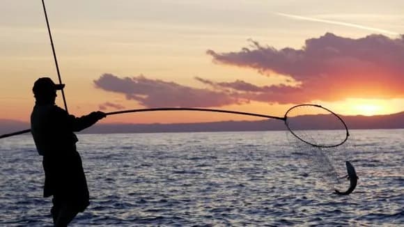 【謎】釣り（具）にめっちゃ金掛けてるおじさんっておるやん？ｗｗｗｗｗ