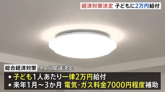 「子ども2万円」「おこめ券など1人3000円」 “家計負担軽減”を強調の経済対策を閣議決定　ガソリン減税や所得税見直しも盛り込む　総額21.3兆円規模