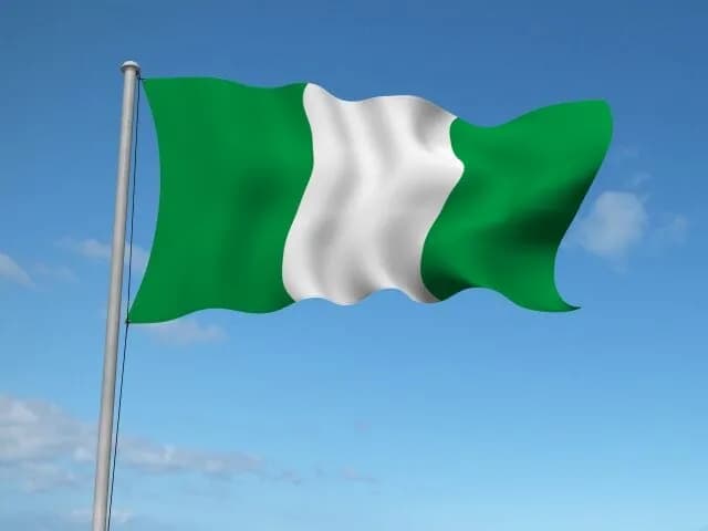 【謎】ナイジェリアで武装集団が学校を襲撃して何故か女子生徒だけ215人拉致する