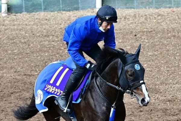 【マイルCS】  ソウルラッシュ、早仕掛けCデムで連覇だ！