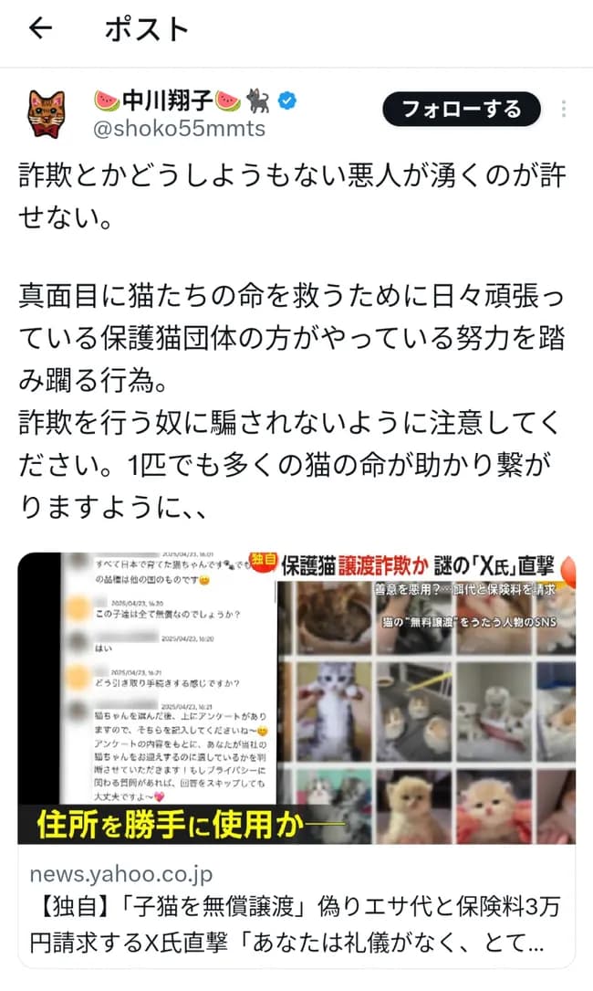 中川翔子さん「猫で詐欺をする奴に気をつけて！」