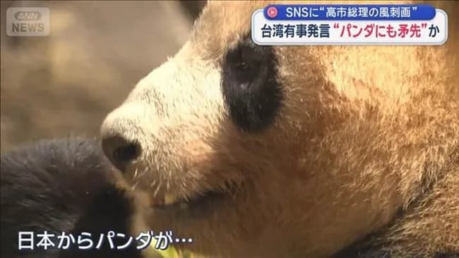 中国SNSで「日本からもうすぐパンダがいなくなる」がトレンド1位に
