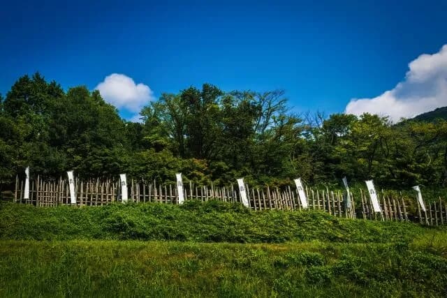 関ケ原の戦いの戦場で死んだ3万人はその後どうなったん？