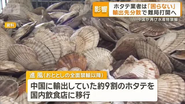【朗報】ホタテ業者、全く効いてなかった！「ほとんど国内に流してるのでそこまで困りません